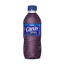 Suco Citrus 330ml Uva